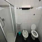 Pp-panoramic - Vicino A Stazione Ed Aeroporto * فلورنس